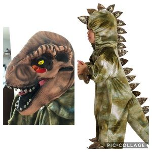 Dinosaur costume with mask